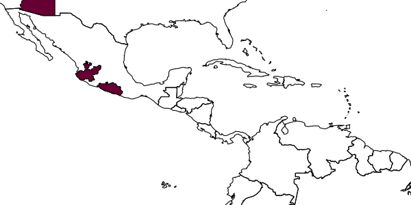 map of Eulonchopria punctatissima     Michener, 1963